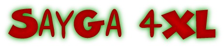 4xllogo.jpg