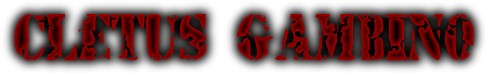 cgambinologo.jpg